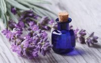 Инфуз из оливкового масла на сухоцвете лаванды