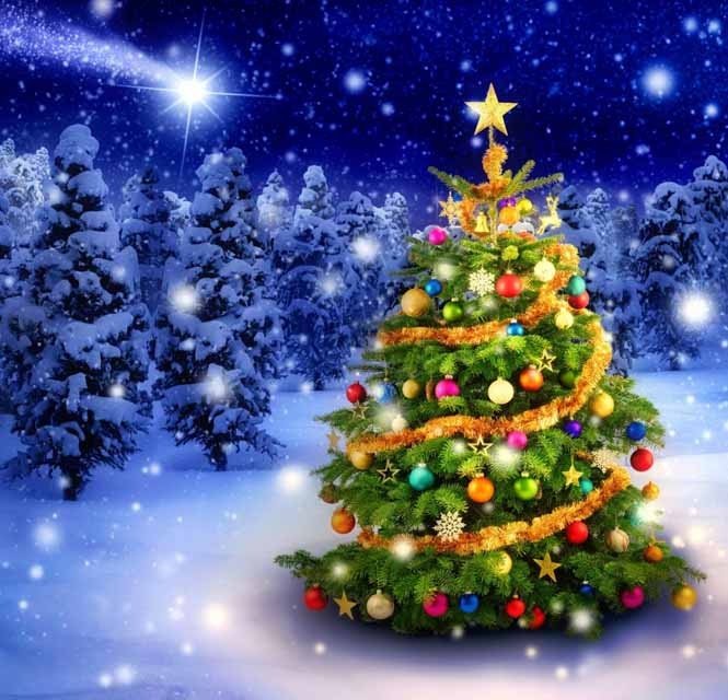 График работы на католическое Рождество 25.12.2020