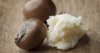 Все о масле ши (каритэ) и его полезные свойства