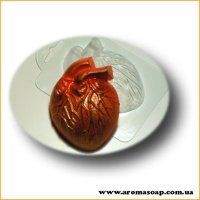 Живое сердце 73 г форма пластиковая