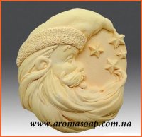 Санта и звезды элит-форма