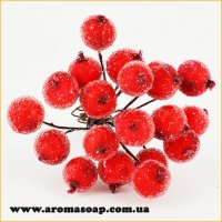 Калина сахарная из 20 ягодок Красная