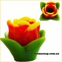 Маленький тюльпан 3D элит-форма