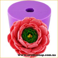 Ранункулюс Элиос 3D элит-форма