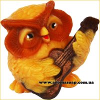 Совушка с гитарой 3D элит-форма
