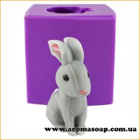 Зайчик-ушастик 3D элит-форма