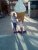 image-0-02-05-954d04c2be29470050cc268ce3673afdacc5362bc271cf17cd7d2f2ca1e2bb82-v-1.jpg